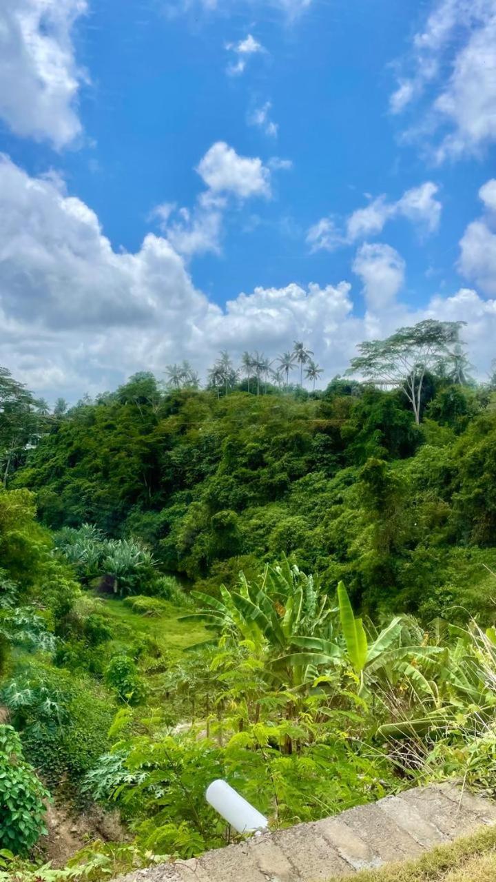 Hotel Solana Wellness Retreat Ubud Exterior foto